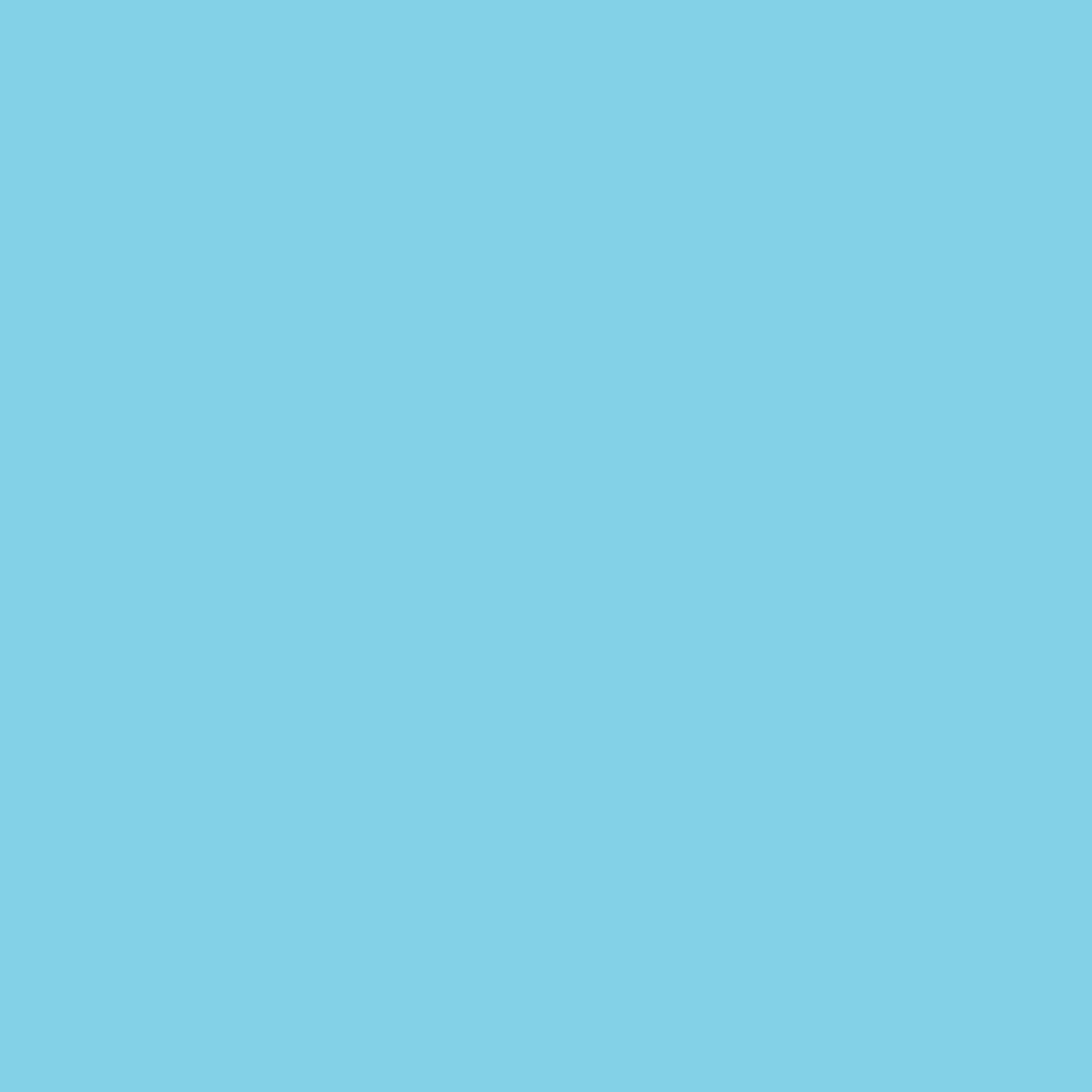 Uni-Longsleeve Shirt Babyblue