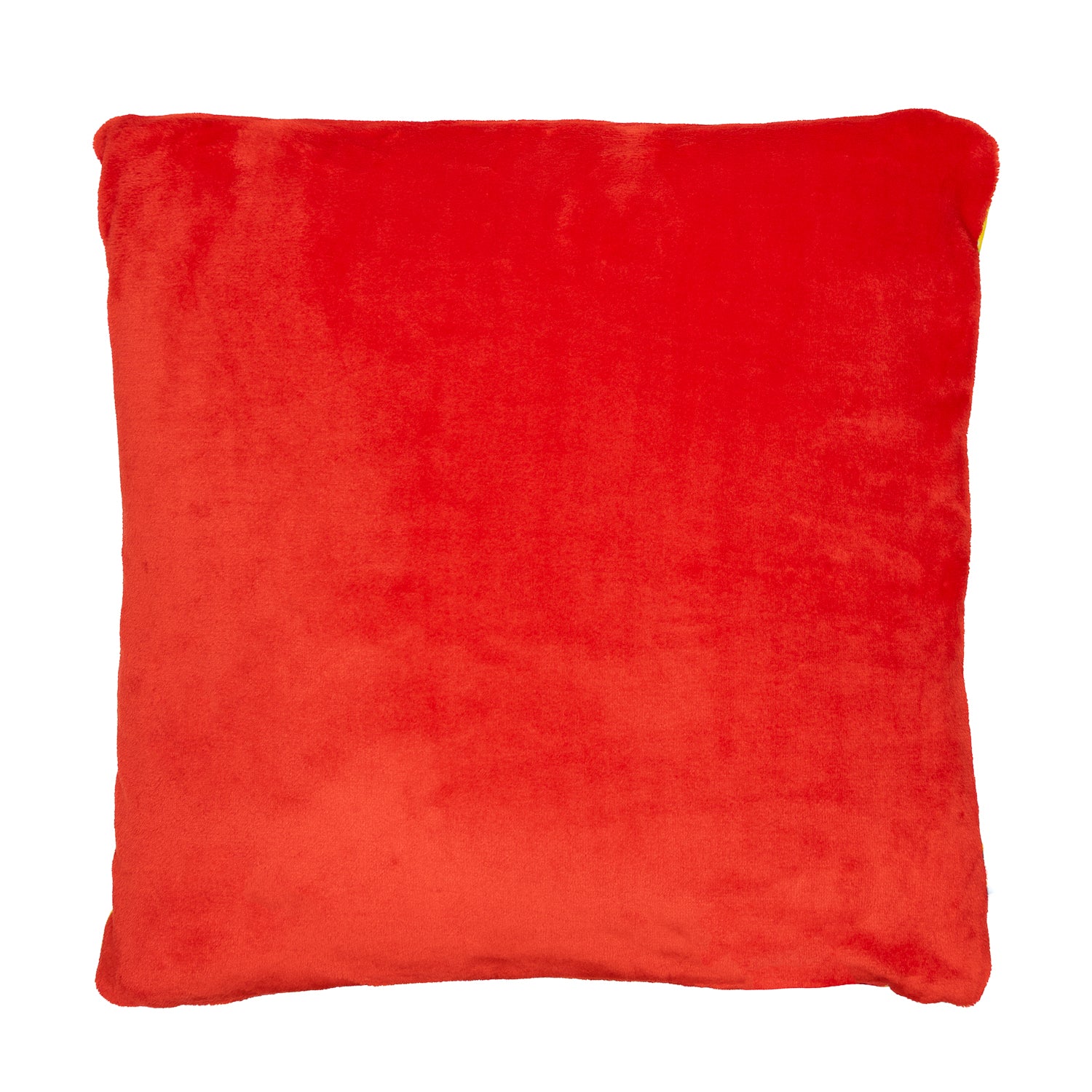 Super XXL cuddly Cushion Cover Turtles