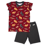 2-teiliges Set aus bunt gemustertem T-Shirt und einfarbiger kurzer Hose für Kinder 