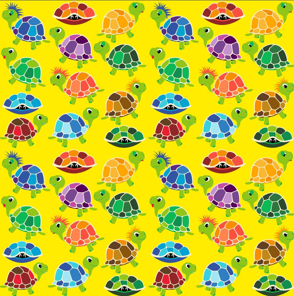 CoolPocketPants Turtles
